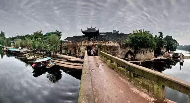 蒜蓉娃娃菜怎么做最好吃呢?专属问题解答